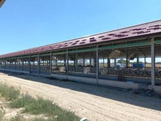 Dairy Facility Construction
