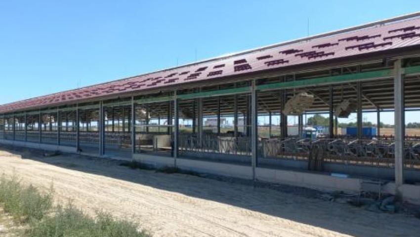 Dairy Facility Construction